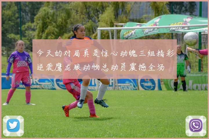 今天的对局真是惊心动魄三组精彩逆袭鹰龙狼动物总动员震撼全场
