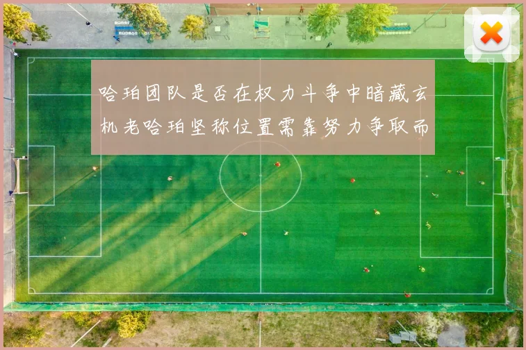 哈珀团队是否在权力斗争中暗藏玄机老哈珀坚称位置需靠努力争取而非索要
