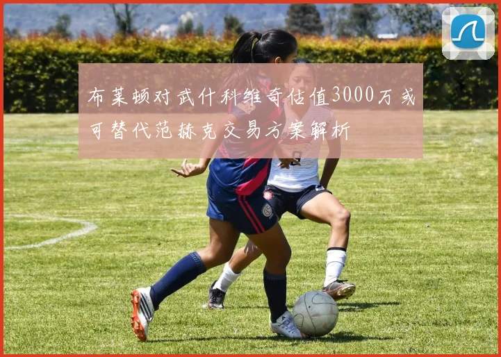 布莱顿对武什科维奇估值3000万或可替代范赫克交易方案解析